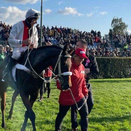 Velkou pardubickou vyhrál favorizovaný Sakamiro. Během závodu došlo bohužel i k fatálním zraněním.